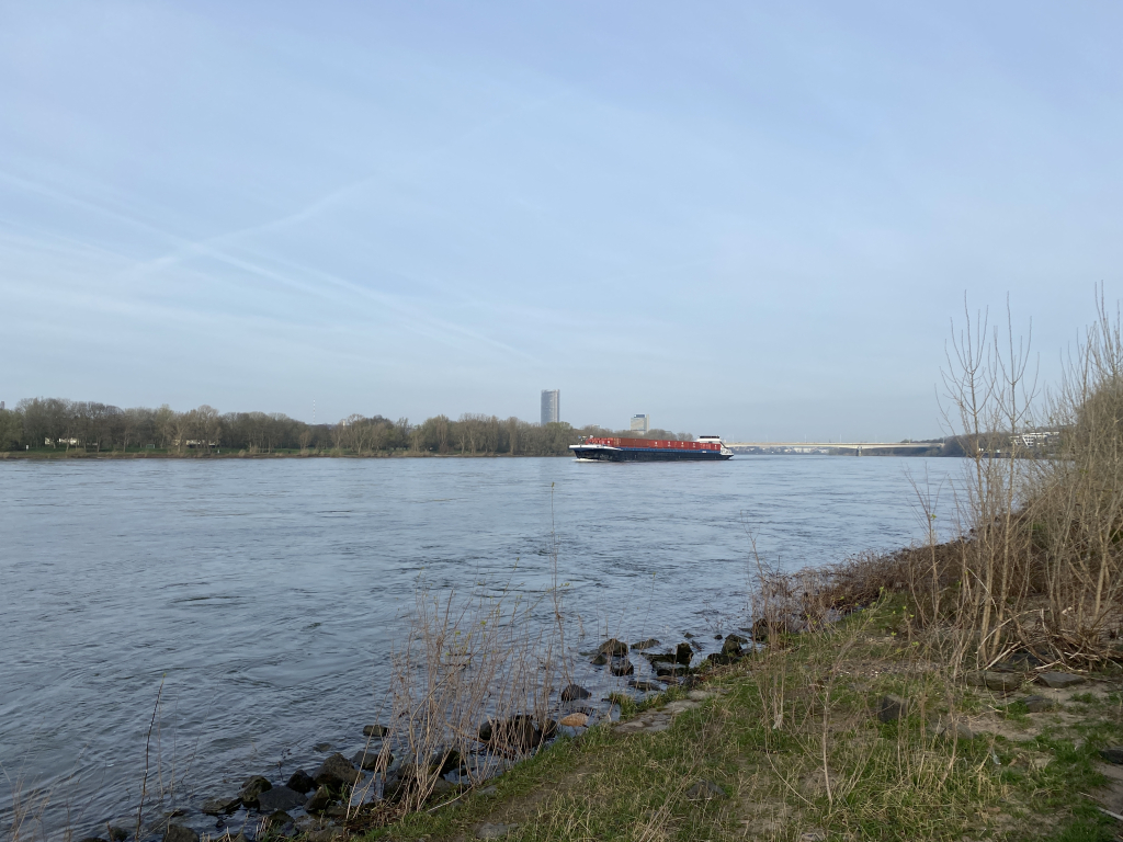 2024-03-20 Rhein 0077 k.JPG